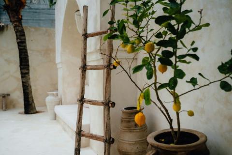 What to Consider When Choosing a Villa for Rent in Fethiye?